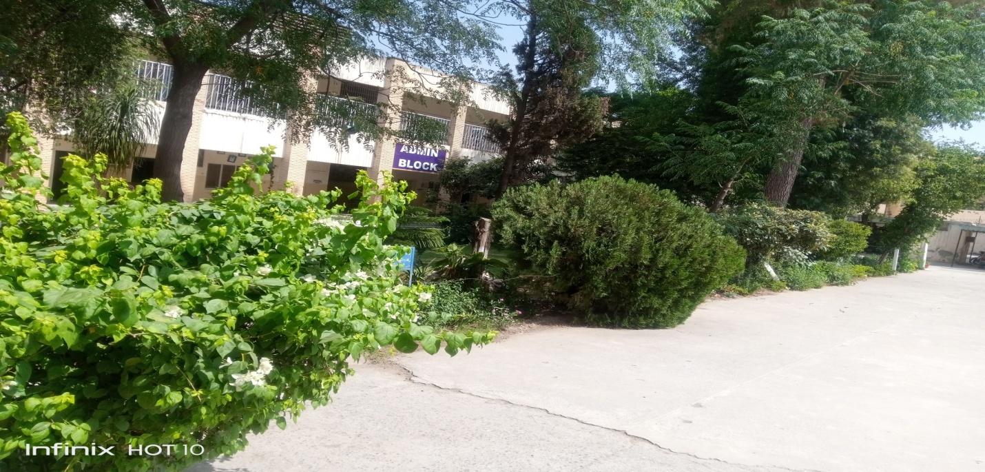 FG Junior Public School (2nd Shift) Abid Majeed Road Rawalpindi Cantt
