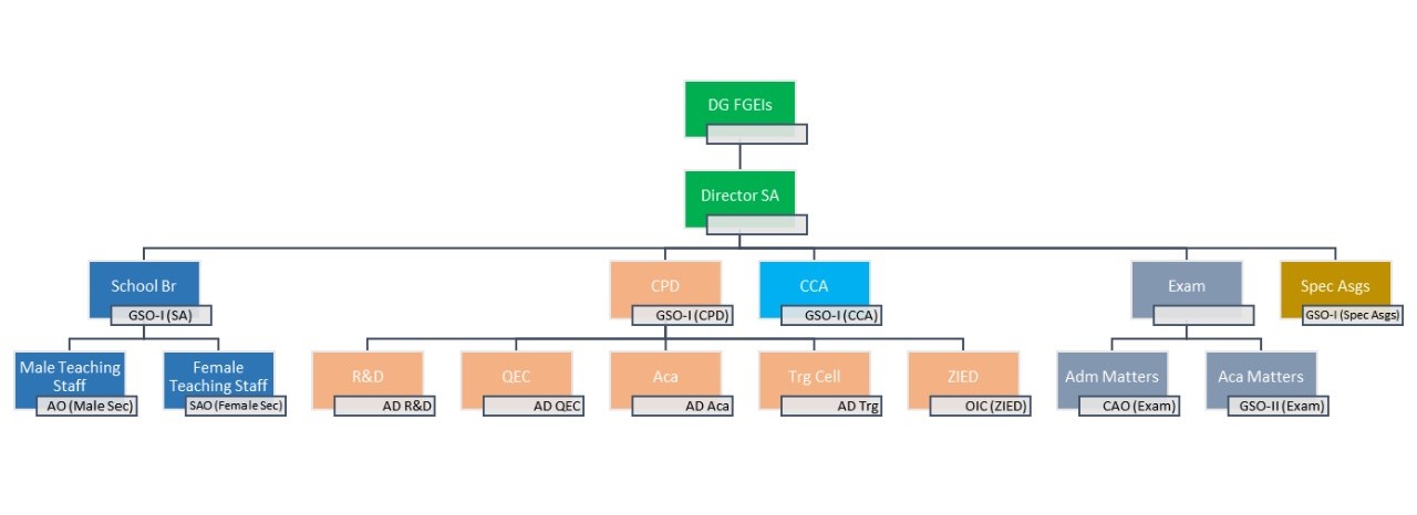 organogram